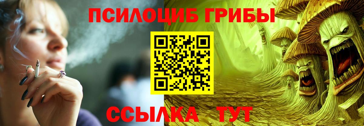 купить   Вход с VPN  Муравленко  Псилоцибиновые грибы мицелий  Галлюциногенные грибы MAGIC MUSHROOMS 